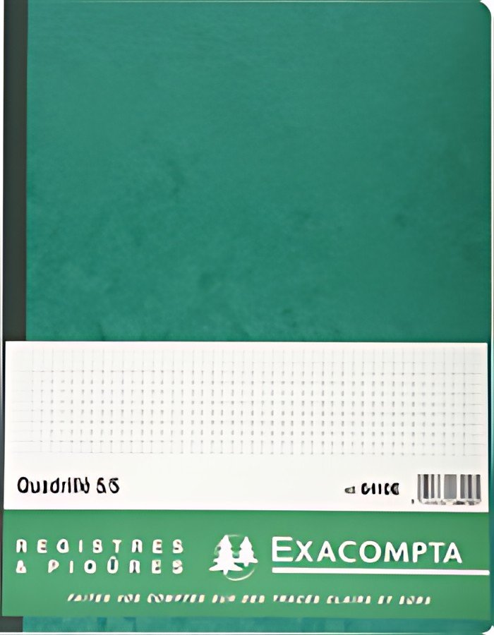 EXACOMPTA Piqûre "Quadrillé 5/5 folioté", 297 x 210 mm