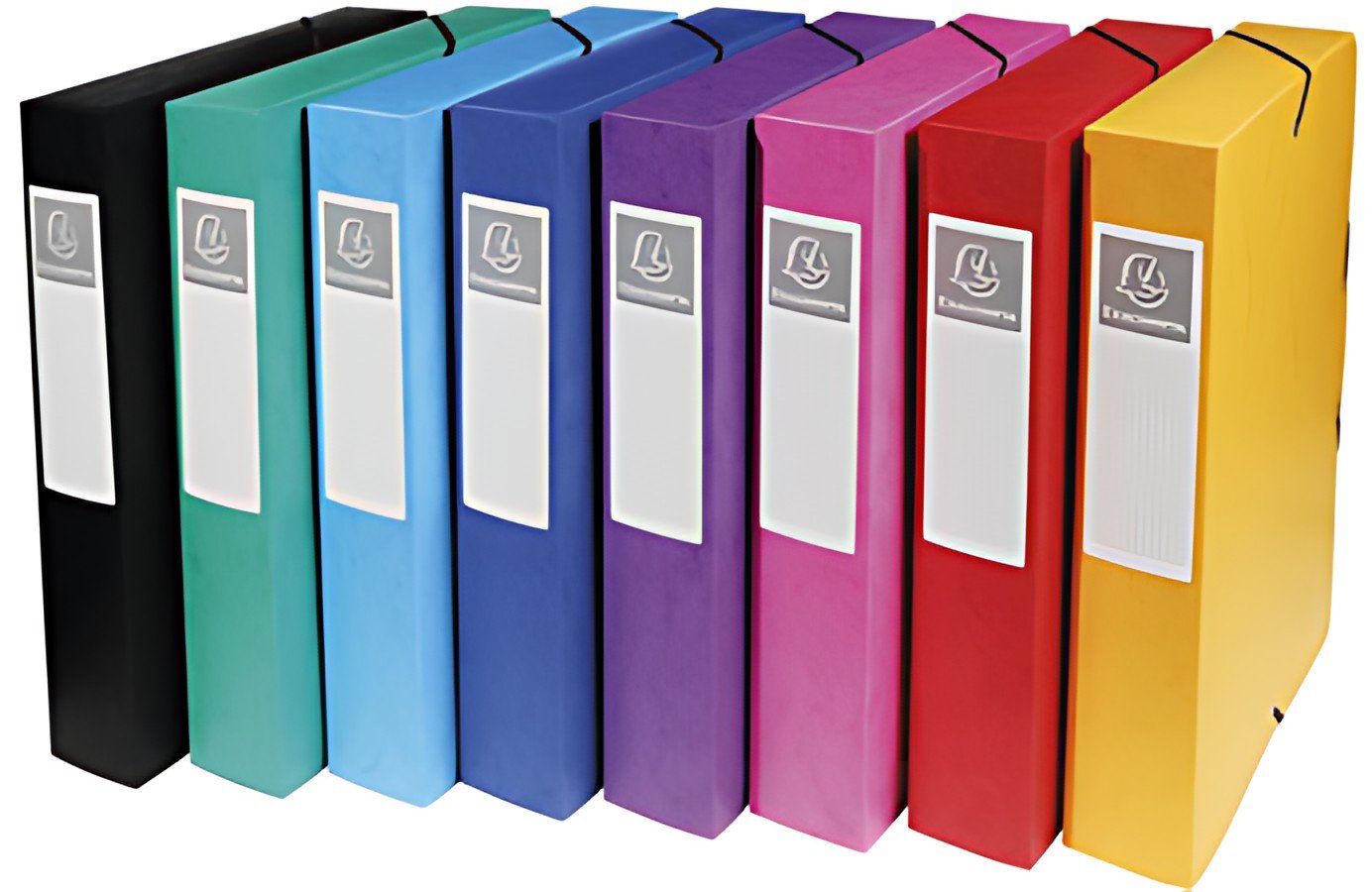 EXACOMPTA Boîte de classement, A4, dos 60 mm, assorti
