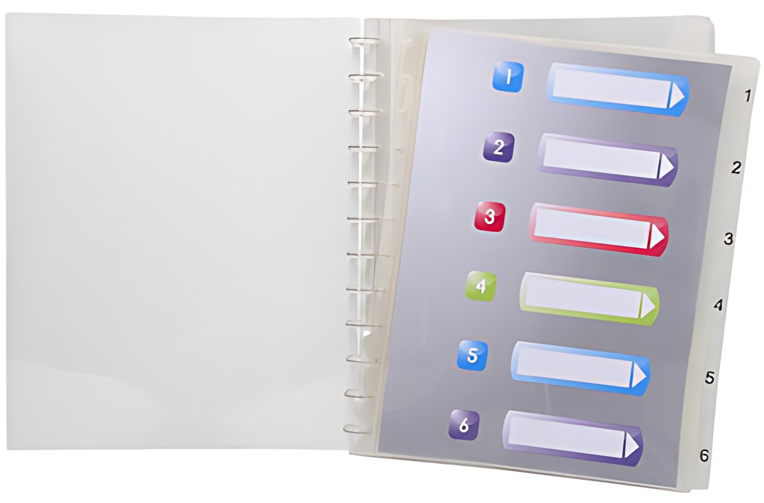EXACOMPTA Protège-documents, A4, 10 pochettes, transparent