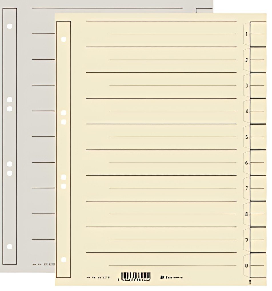EXACOMPTA Intercalaires, A4 extra large, chamois