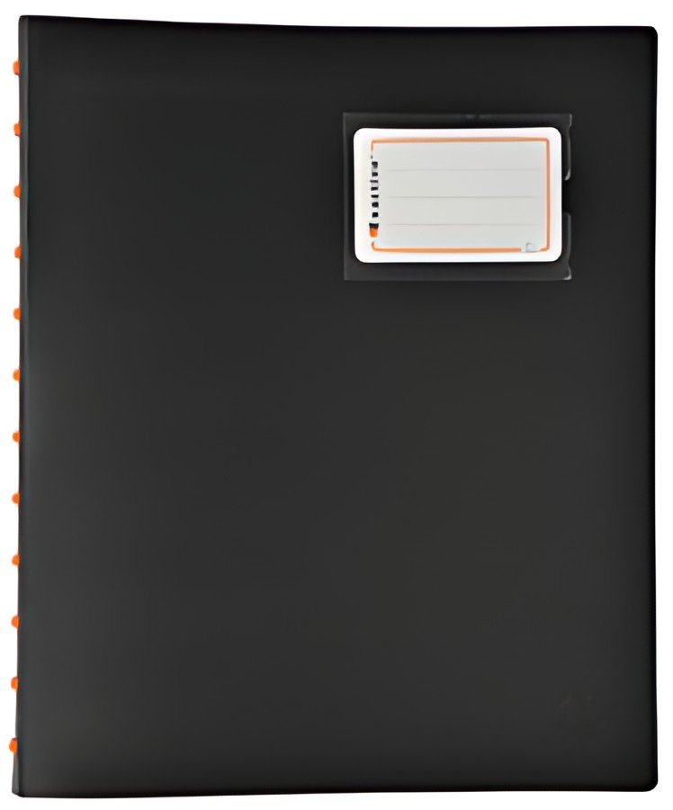 EXACOMPTA Protège-documents EXACTIVE, A4, 40 pochettes, noir