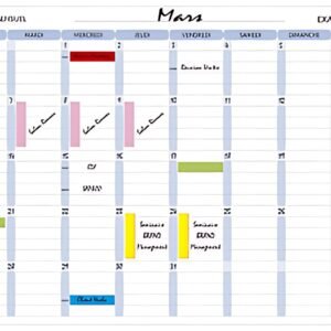 EXACOMPTA Planning magnétique mensuel Exaplanner