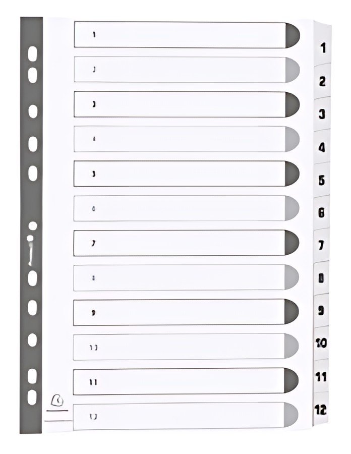 EXACOMPTA Intercalaires en carton 1-20, A4, 20 touches