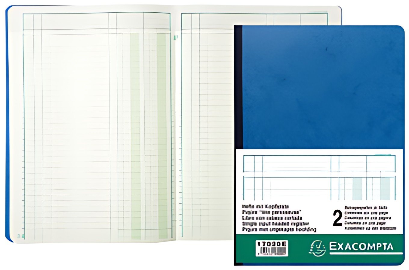 EXACOMPTA Piqûre tête paresseuse, 10 colonnes sur 2 pages