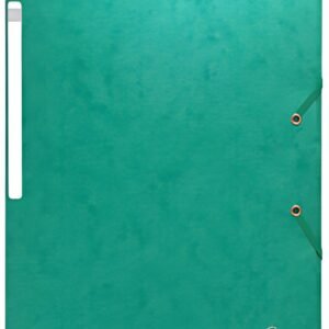 EXACOMPTA Chemise à élastique Scotten, carton, A4, vert