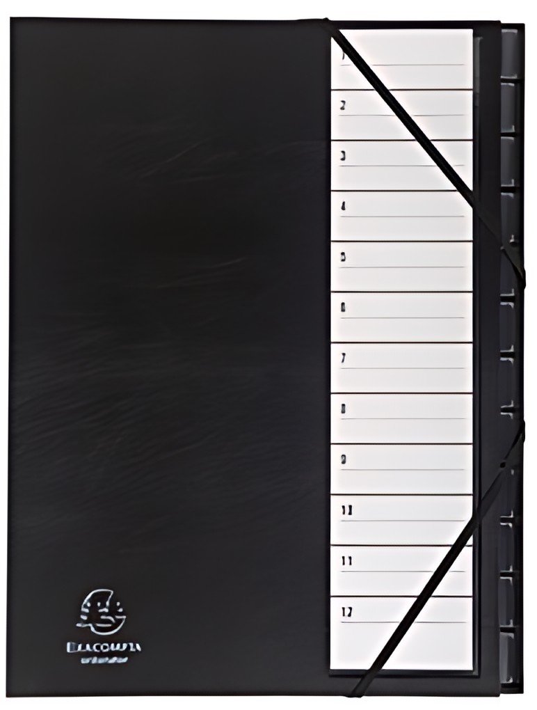 EXACOMPTA Trieur Ordonator, PP, 12 compartiments, noir