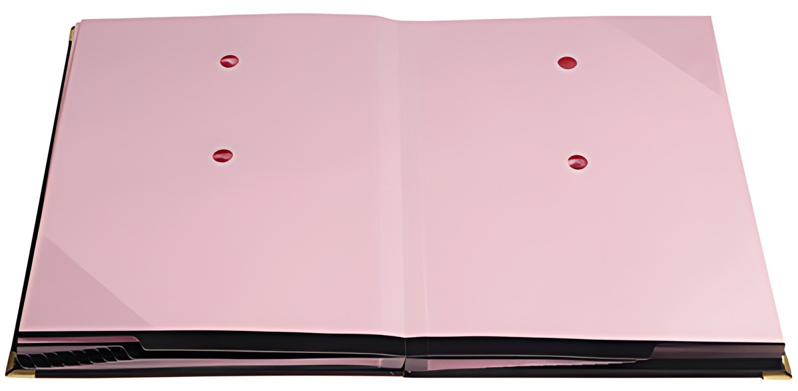 EXACOMPTA Parapheur, A4, 24 compartiments, noir