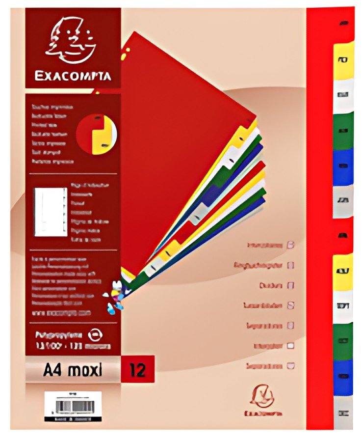 EXACOMPTA Intercalaires mensuels Janvier-Décembre, A4+
