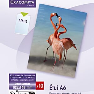 EXACOMPTA Etui de protection Doc Protect, A6, PVC