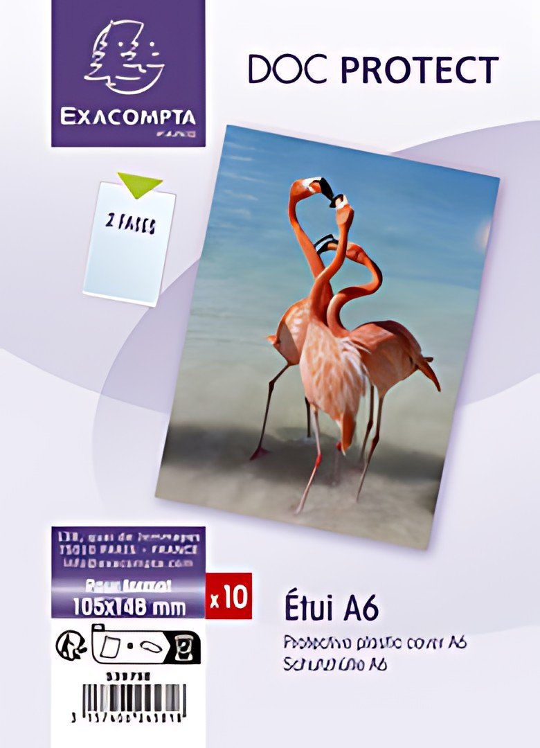 EXACOMPTA Etui de protection Doc Protect, A6, PVC