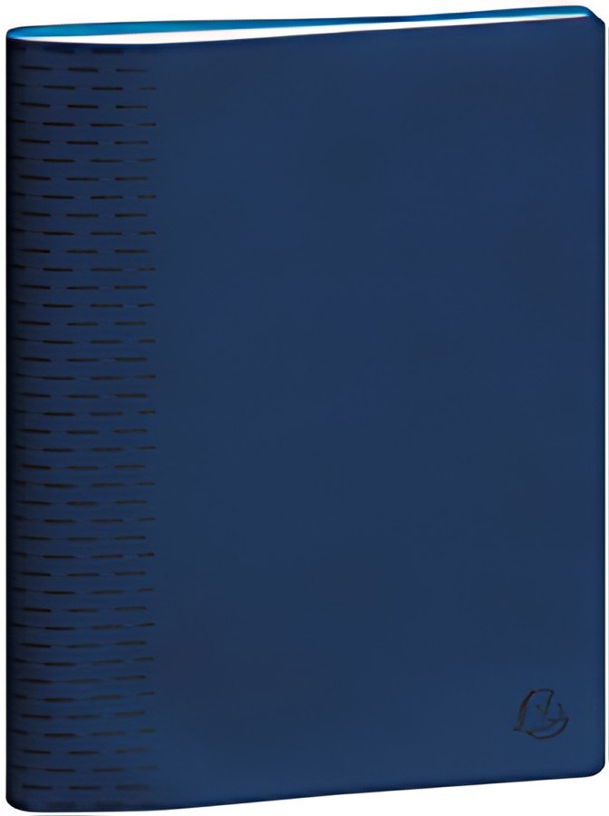 EXACOMPTA Agenda de bureau SAS 22 Non Stop, 2026/2027, bleu