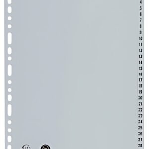EXACOMPTA Intercalaire numérique en plastique, A4, gris