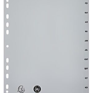 EXACOMPTA Intercalaires mensuels Janvier-Décembre, A4+