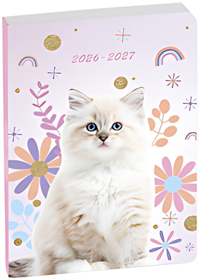 EXACOMPTA Agenda scolaire FORUM, 2026/2027, Chat blanc