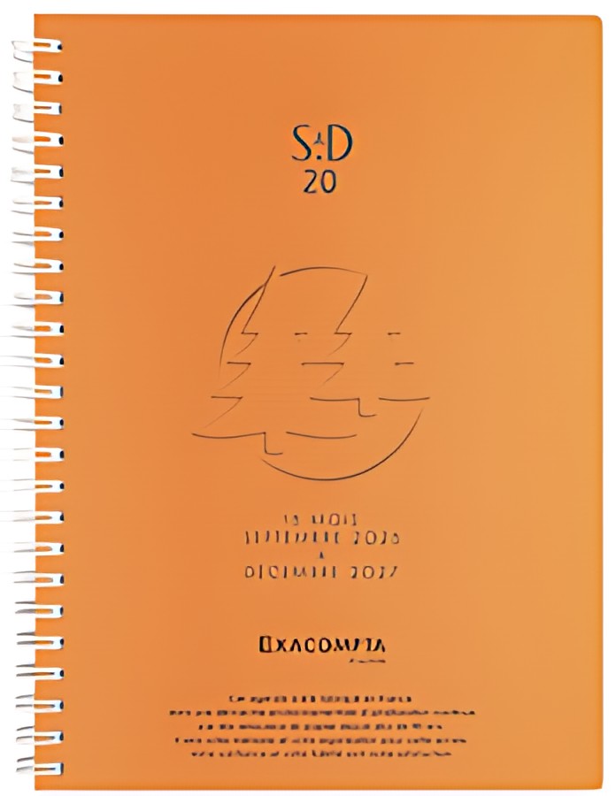 EXACOMPTA Agenda de bureau SAD 20S, 2026/2027, 16 mois