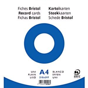 EXACOMPTA Fiches bristol, A4, quadrillé, rose
