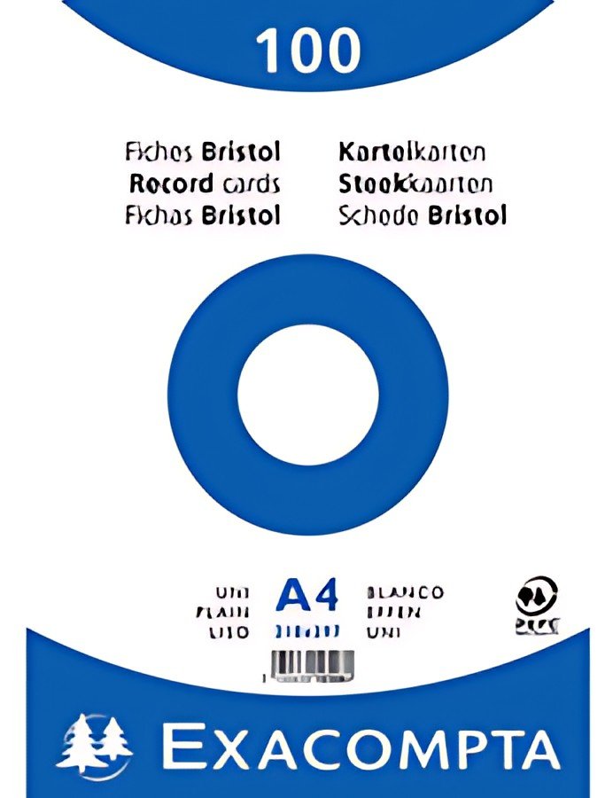 EXACOMPTA Fiches bristol, A4, quadrillé, rose