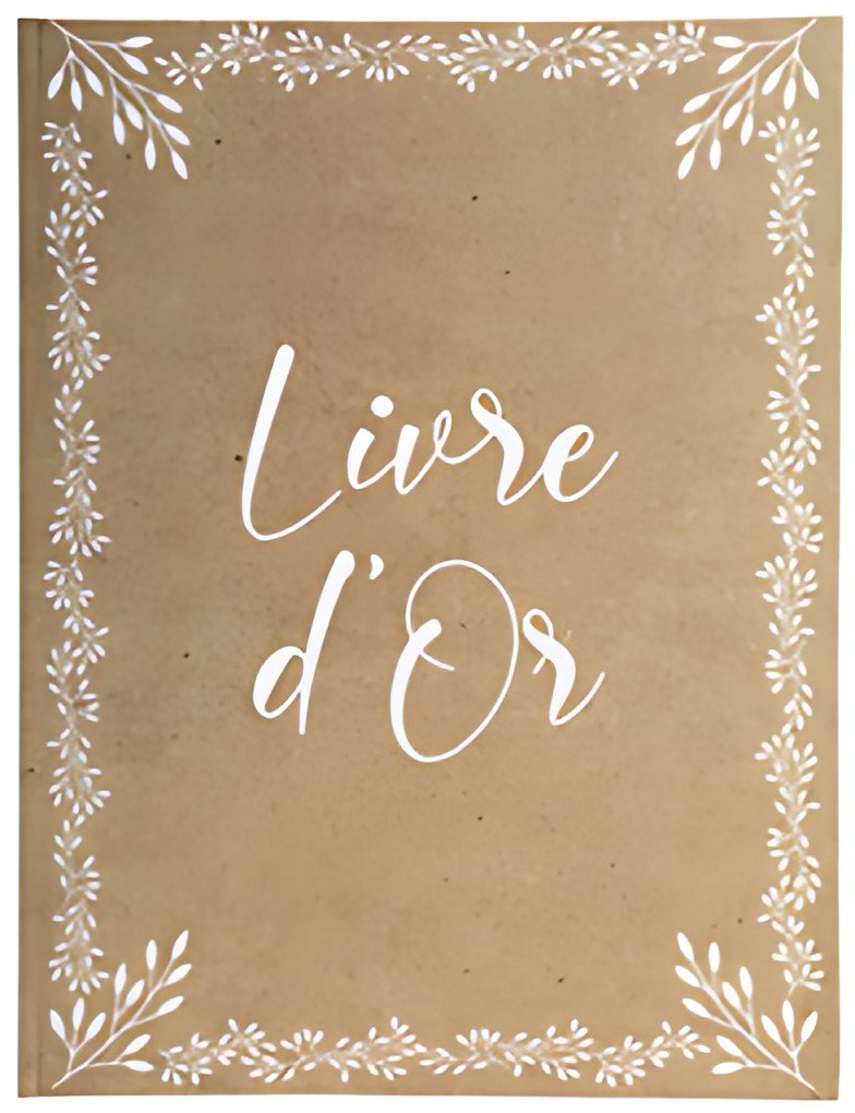 EXACOMPTA Livre d'or "Kraft, 220 x 270 mm, brun