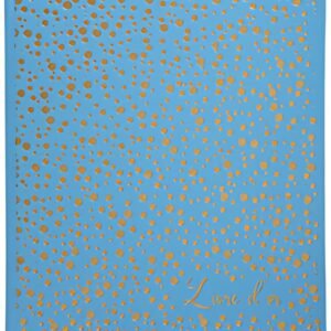 EXACOMPTA Livre d'or Plum, 210 x 190 mm, turquoise / doré