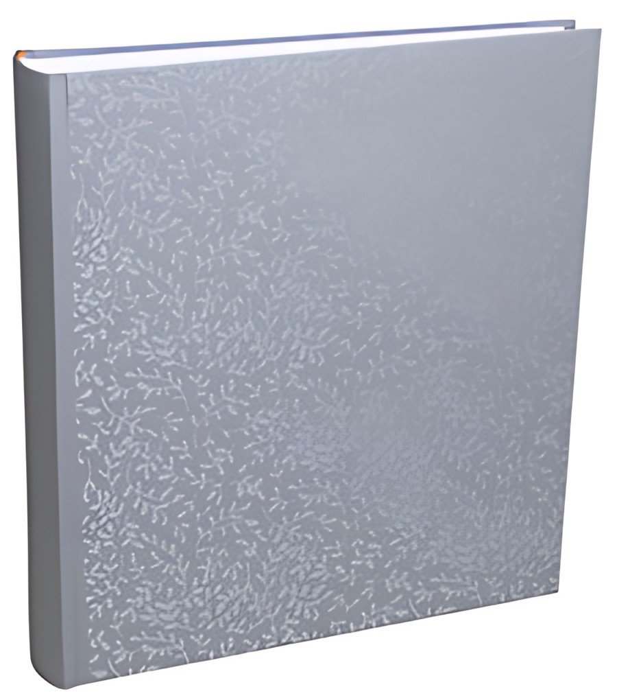 EXACOMPTA Album photo AutentiK, 290 x 320 mm, bleu gris