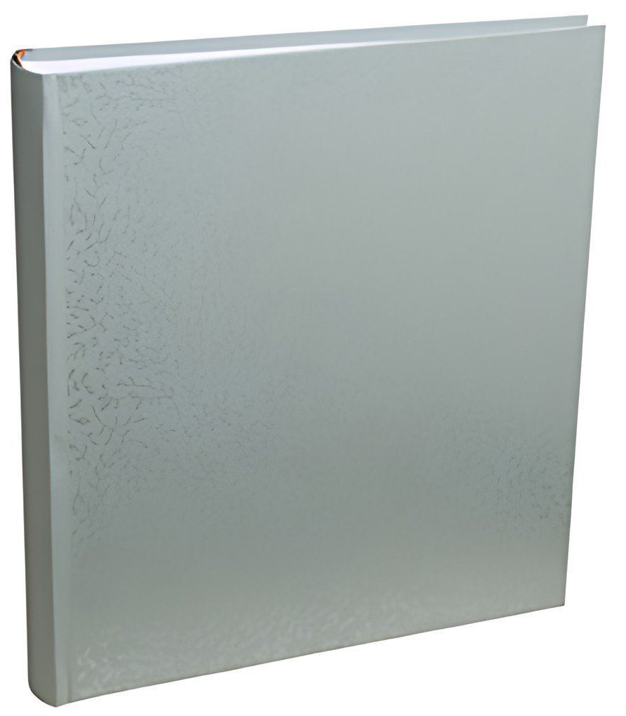 EXACOMPTA Album photo AutentiK, 290 x 320 mm, vert sauge