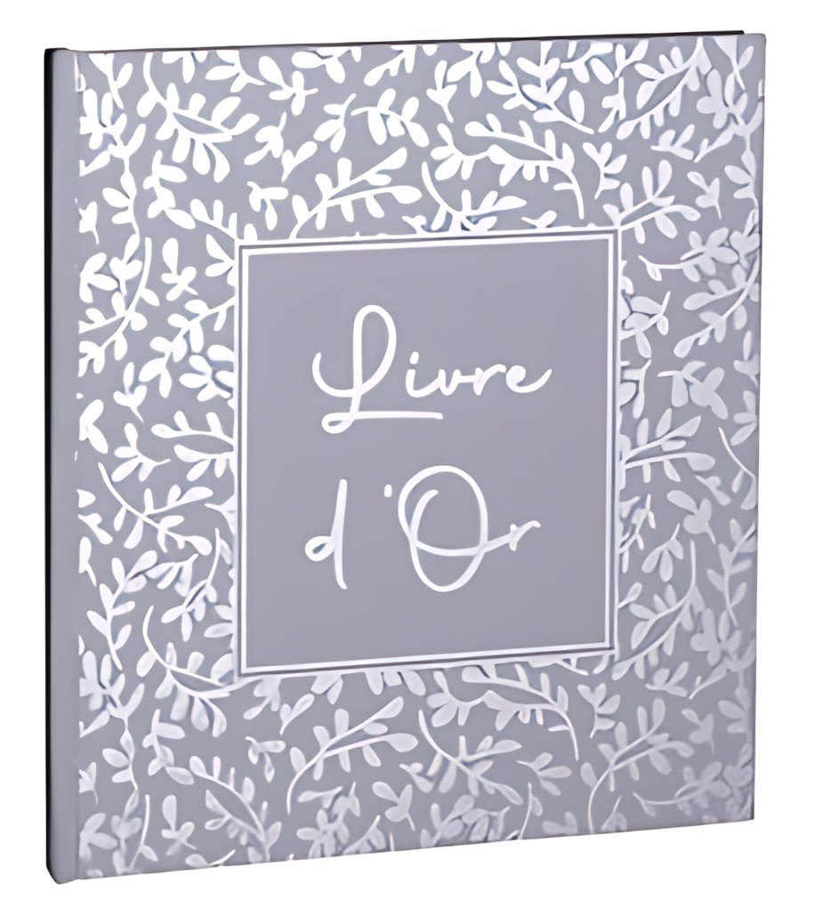 EXACOMPTA Livre d'Or AutentiK, 190 x 210 mm, bleu gris