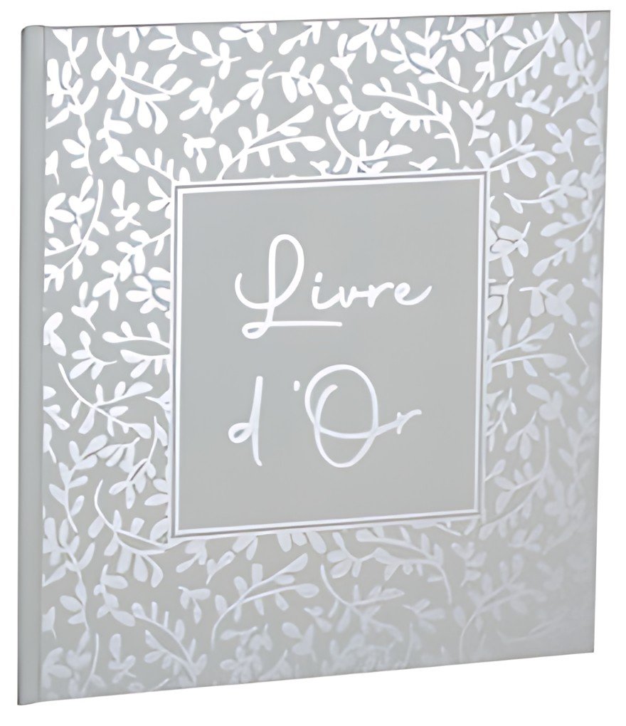 EXACOMPTA Livre d'Or AutentiK, 190 x 210 mm, vert sauge