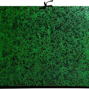EXACOMPTA Carton à dessin Annonay, 320 x 450 mm, vert