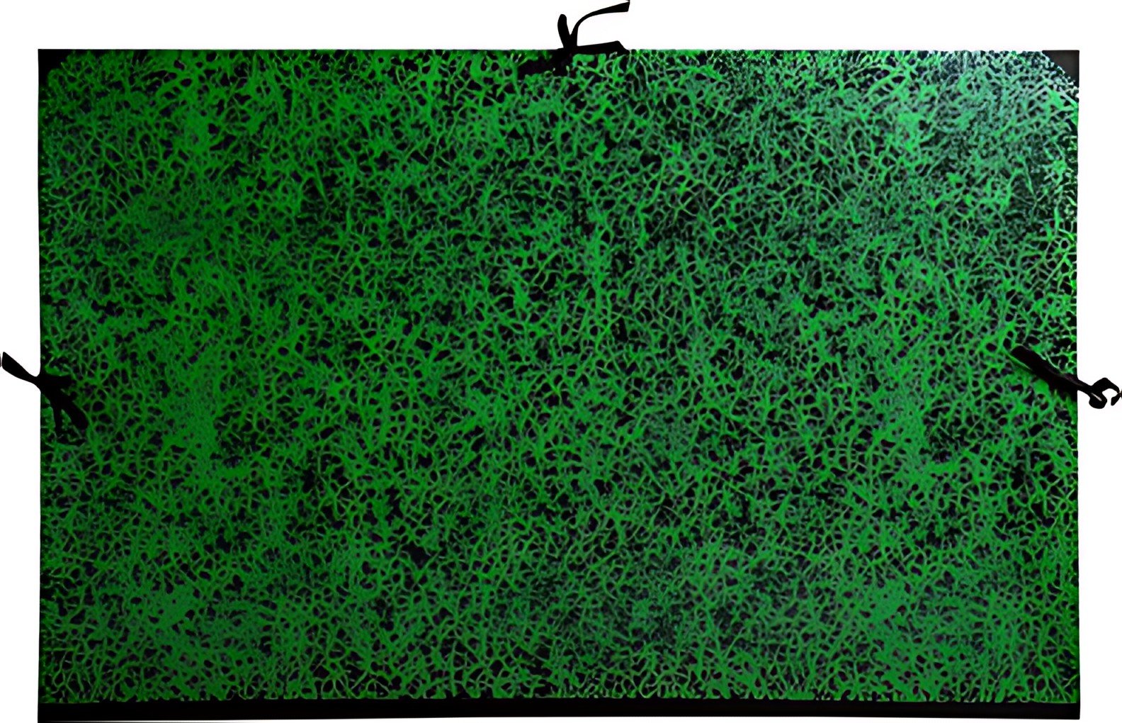 EXACOMPTA Carton à dessin Annonay, 320 x 450 mm, vert