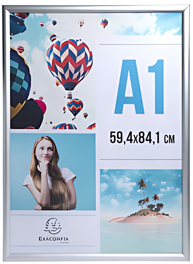 EXACOMPTA Cadre porte-affiche en aluminium, A1, argent