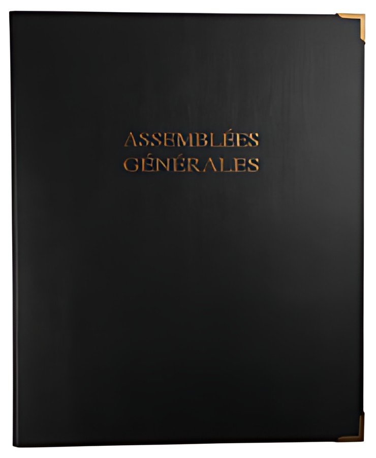 LE DAUPHIN Reliure luxe "Assemblées générales", 297 x 210 mm