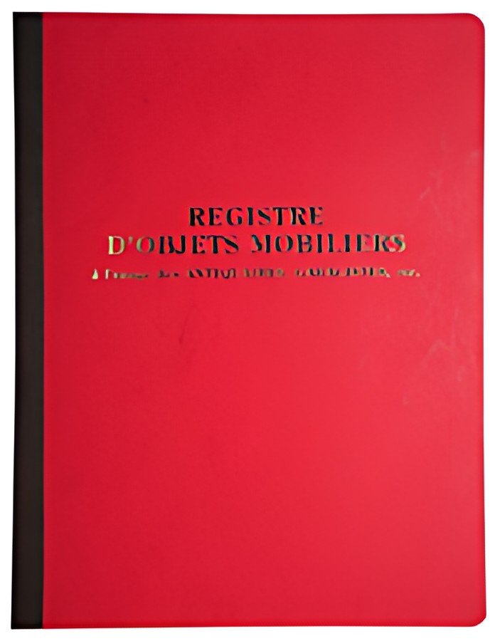 LE DAUPHIN Piqûre "Registre d'objets mobiliers"