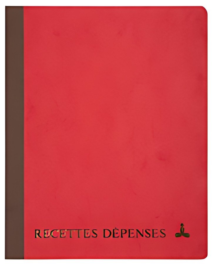 LE DAUPHIN Piqûre "Recettes-Dépenses", 220 x 170 mm
