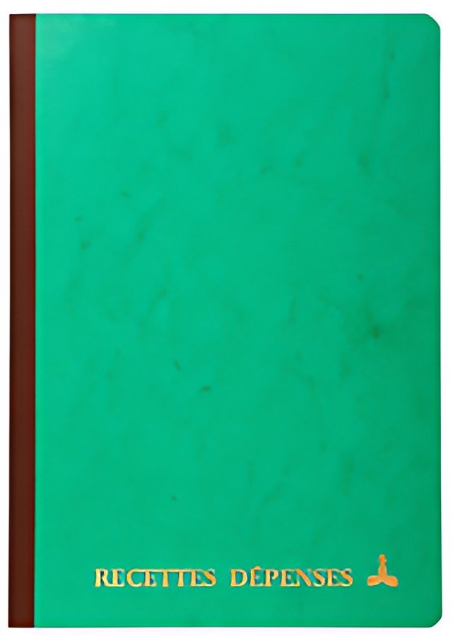 LE DAUPHIN Piqûre "Recettes-Dépenses", 297 x 210 mm