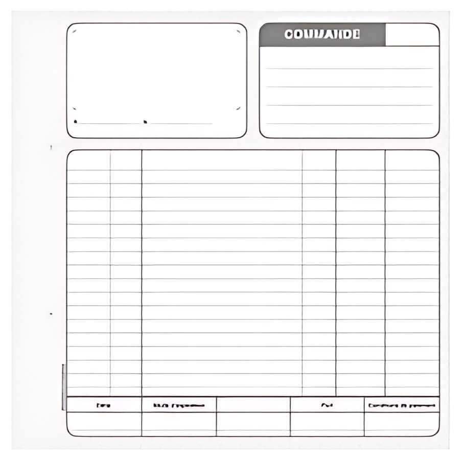 LE DAUPHIN Manifold "Commandes", 210 x 210 mm, tripli