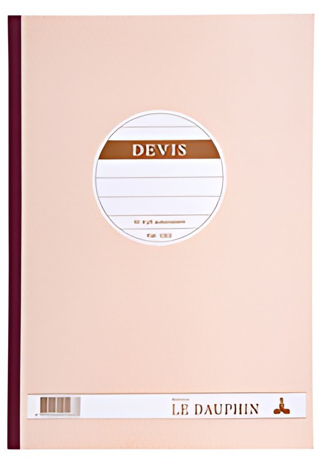 LE DAUPHIN Manifold "Devis", 297 x 210 mm, tripli