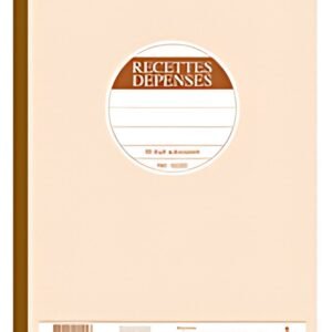 LE DAUPHIN Manifold "Recettes-Dépenses", 297 x 210 mm, dupli