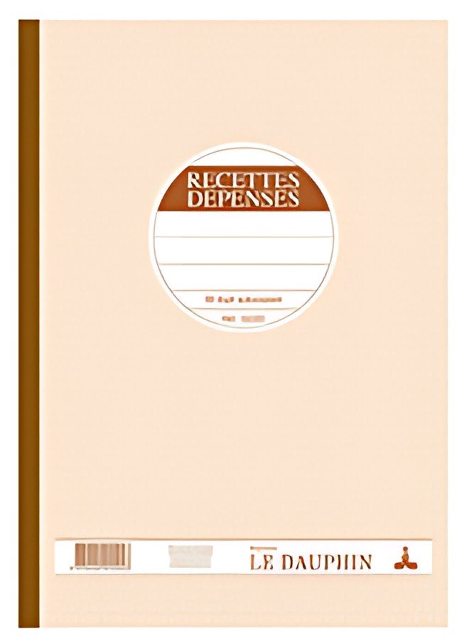 LE DAUPHIN Manifold "Recettes-Dépenses", 297 x 210 mm, dupli