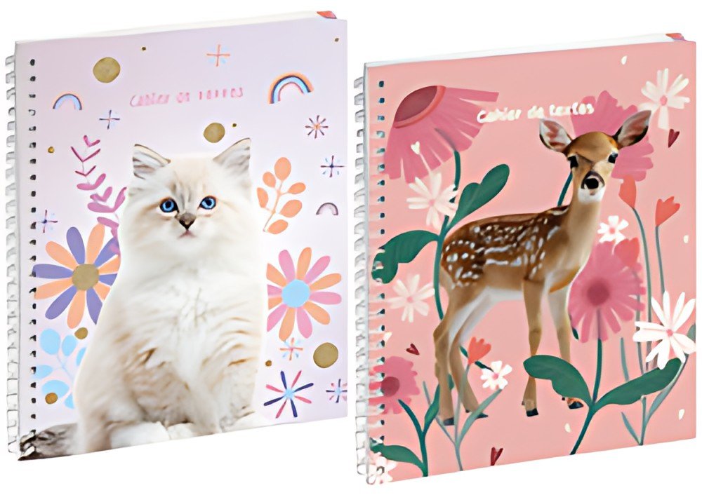 EXACOMPTA Cahier de textes Lovely, assorti