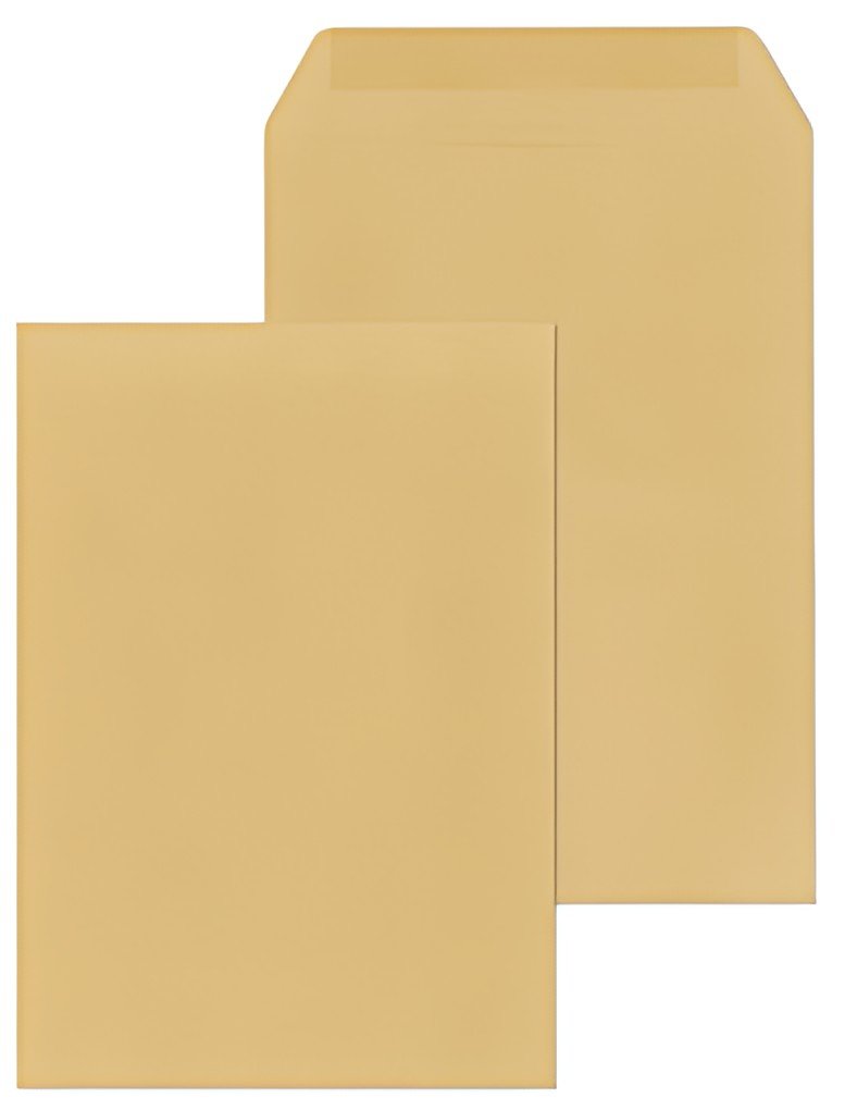 MAILmedia Enveloppe de paie / sachet de paie, C6, lustré