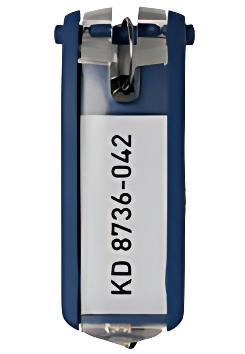 DURABLE Porte-clés KEY CLIP, assorti, grand emballage
