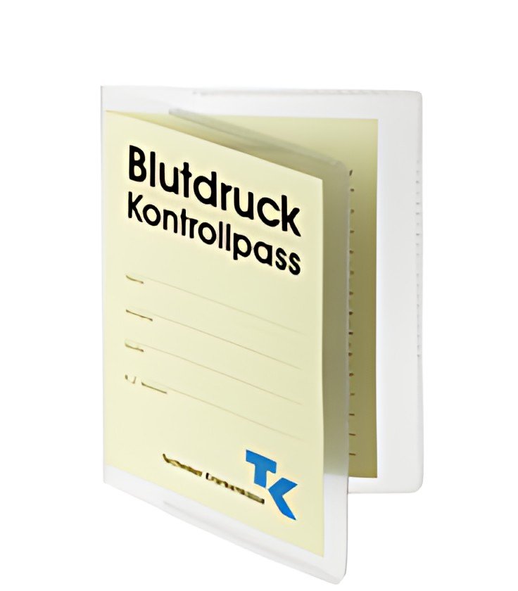 DURABLE Pochette de protection, en PP, A6, transparent