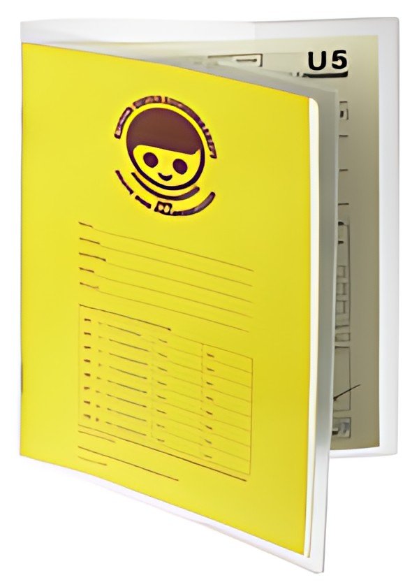 DURABLE Pochette de protection, en PP, A5, transparent