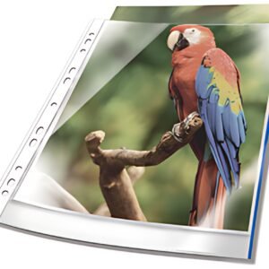 DURABLE Pochette perforée PREMIUM, A4, PP, bord bleu