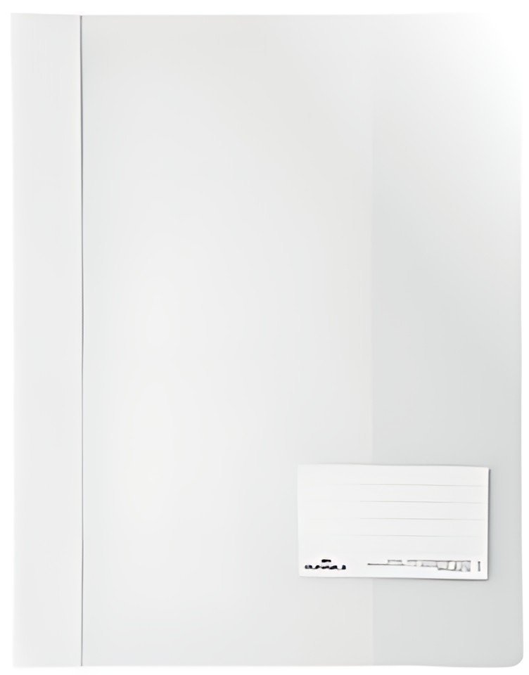 DURABLE Chemise à lamelle extra large, A4+, PVC, blanc