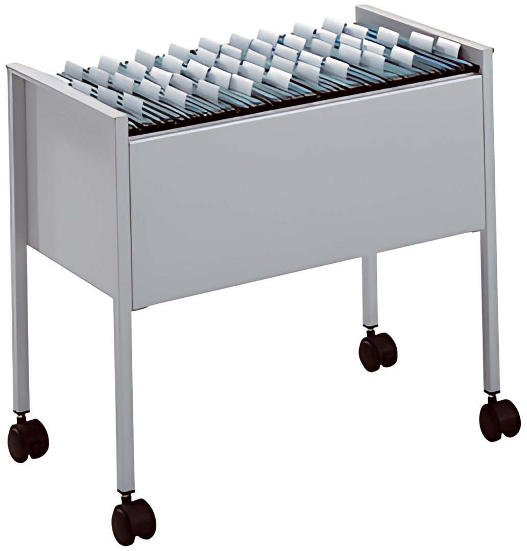 DURABLE Chariot pour dossiers suspendus "Economy 80", argent