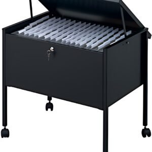 DURABLE Chariot pour dossiers suspendus "Economy 80 Top"