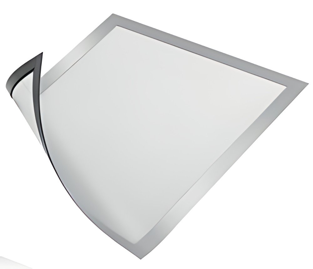 DURABLE Cadre d'affichage magnétique DURAFRAME MAGNETIC, A4