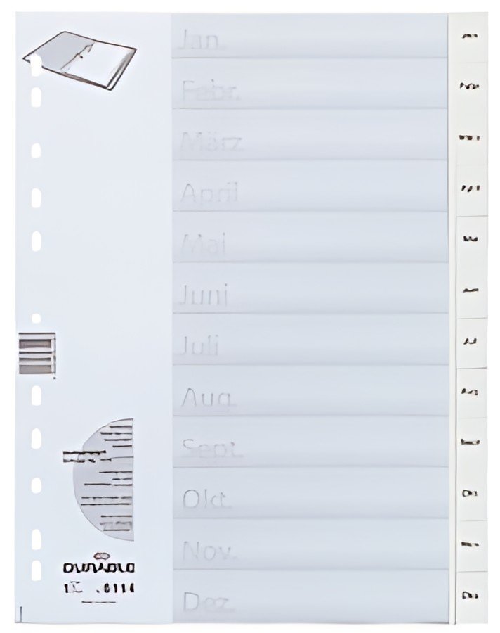 Registre en plastique DURABLE, mois, A4, janvier - décembre