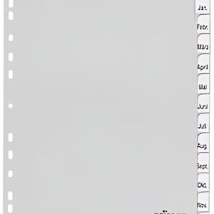 DURABLE Intercalaires mensuels plastique, A4, 12 pièces,gris